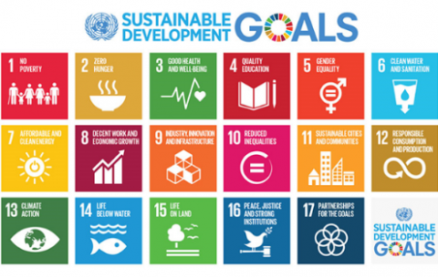 Sustainable Development Goals